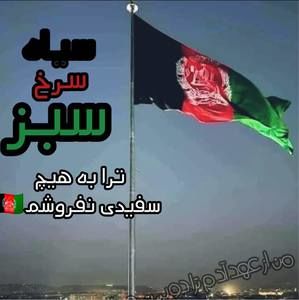 Meet your Posher, Shams